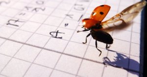 ladybug_on_my_collegeblock__by_m_picz-d4t0kcm.jpg
